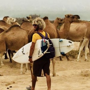 Moroccan surf instructor holding a surfboard on the beach as a camel walks by in Taghazout, Morocco. Unique coastal experience